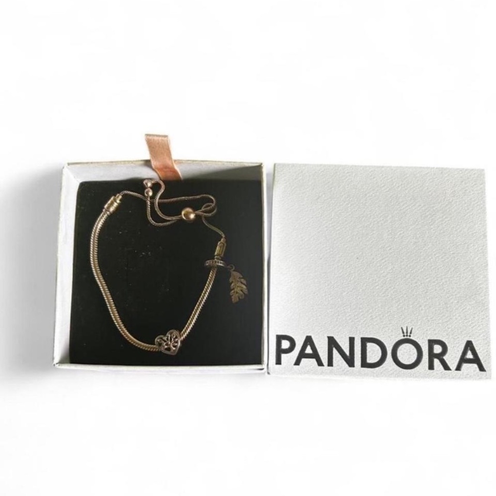Pandora Bracelet with two charms